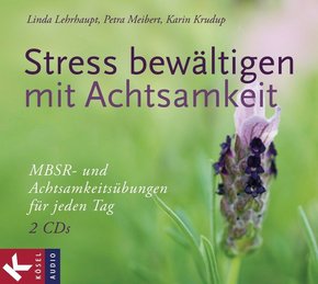 Stress bewältigen mit Achtsamkeit, 2 Audio-CDs