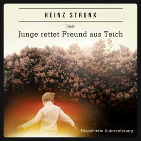 Junge rettet Freund aus Teich, 4 Audio-CDs