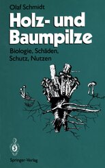 Holz- und Baumpilze