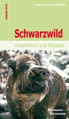 Schwarzwild