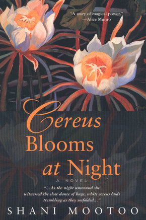 Cereus Blooms at Night