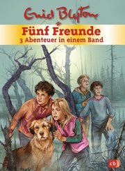 Fünf Freunde - 3 Abenteuer in einem Band, Fünf Freunde und das Teufelsmoor; Fünf Freunde und der Hexenring; Fünf Freunde