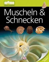 Muscheln & Schnecken