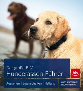 Der große BLV Hunderassen-Führer