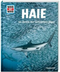 Haie. Im Reich der schnellen Jäger - Was ist was Bd.95