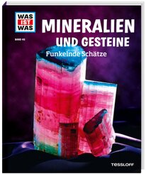 Mineralien und Gesteine - Was ist was Bd.45