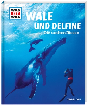 Wale und Delfine. Die sanften Riesen - Was ist was Bd.85