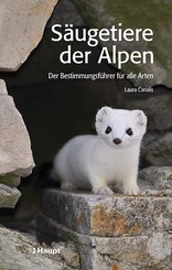 Säugetiere der Alpen