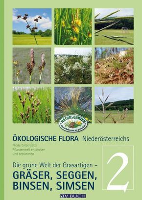 Ökologische Flora Niederösterreichs Pflanzenwelt entdecken und bestimmen - Bd.2