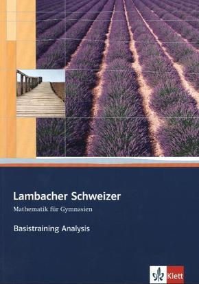 Lambacher Schweizer Mathematik Basistraining Themenband Analysis