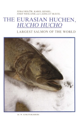 The Eurasian Huchen, Hucho hucho