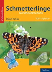 Schmetterlinge Norddeutschlands