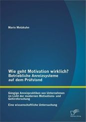 Wie geht Motivation wirklich? Betriebliche Anreizsysteme auf dem Prüfstand: Gängige Anreizpraktiken von Unternehmen im L