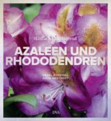 Azaleen und Rhododendren