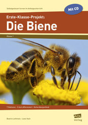 Erste-Klasse-Projekt: Die Biene, m. 1 CD-ROM
