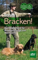 Darum Bracken!