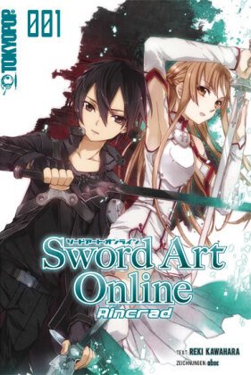 Sword Art Online - Aincrad - Light Novel - Bd.1