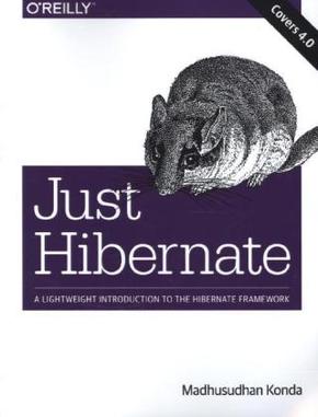 Just Hibernate