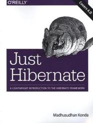 Just Hibernate