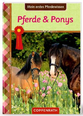Mein erstes Pferdewissen - Pferde & Ponys