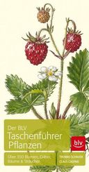 Der BLV Taschenführer Pflanzen