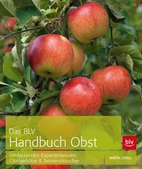 Das BLV Handbuch Obst