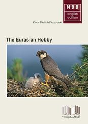 The Eurasian Hobby