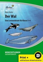 Der Wal, m. 1 CD-ROM