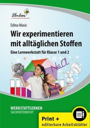 Wir experimentieren mit alltäglichen Stoffen, m. 1 Beilage