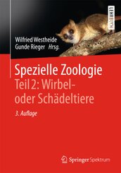 Spezielle Zoologie: Wirbeltiere- oder Schädeltiere