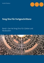 Feng Shui für Fortgeschrittene - Bd.1