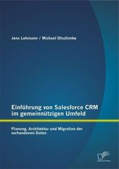 Einf&uuml;hrung von Salesforce CRM im gemeinn&uuml;tzigen Umfeld: Planung, Architektur und Migration der vorhandenen Daten