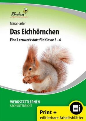 Das Eichhörnchen, m. 1 CD-ROM