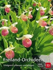 Freiland-Orchideen