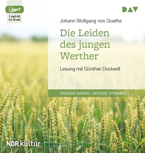 Die Leiden des jungen Werther, 1 Audio-CD, 1 MP3