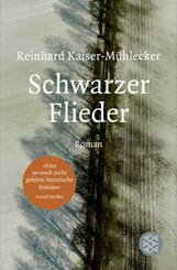 Schwarzer Flieder