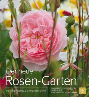 Der neue Rosen-Garten