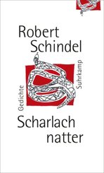 Scharlachnatter