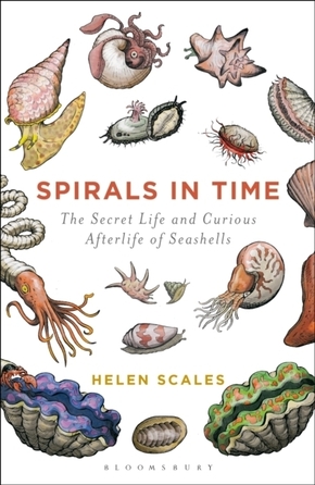 Spirals in Time