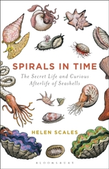 Spirals in Time