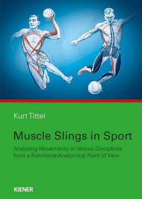 Muscle Slings in Sport