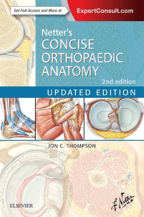 Netter's Concise Orthopaedic Anatomy