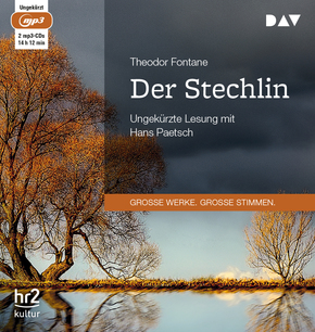 Der Stechlin, 2 Audio-CD, 2 MP3