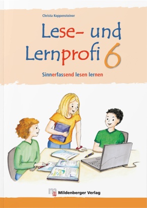 Lese- und Lernprofi - silbierte Ausgabe: Lese- und Lernprofi 6 - Arbeitsheft - silbierte Ausgabe