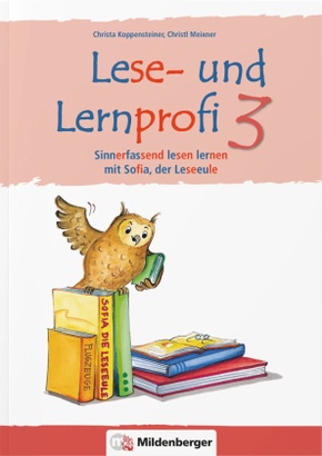 Lese- und Lernprofi - silbierte Ausgabe: Lese- und Lernprofi 3 - Arbeitsheft - silbierte Ausgabe