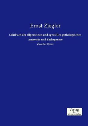 Lehrbuch der allgemeinen und speziellen pathologischen Anatomie und Pathogenese - Bd.2