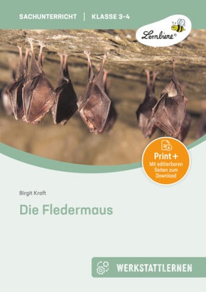 Die Fledermaus, m. 1 Beilage