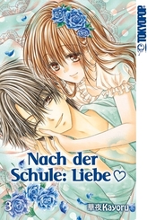 Nach der Schule: Liebe - Bd.3