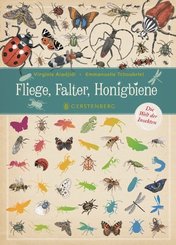Fliege, Falter, Honigbiene - Die Welt der Insekten