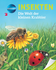 Galileo Wissen: Insekten